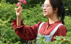 歪歪漫画登录页面免费漫画入口在线阅读